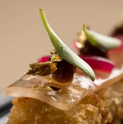 Untitled-design-2022-07-28T151002.151